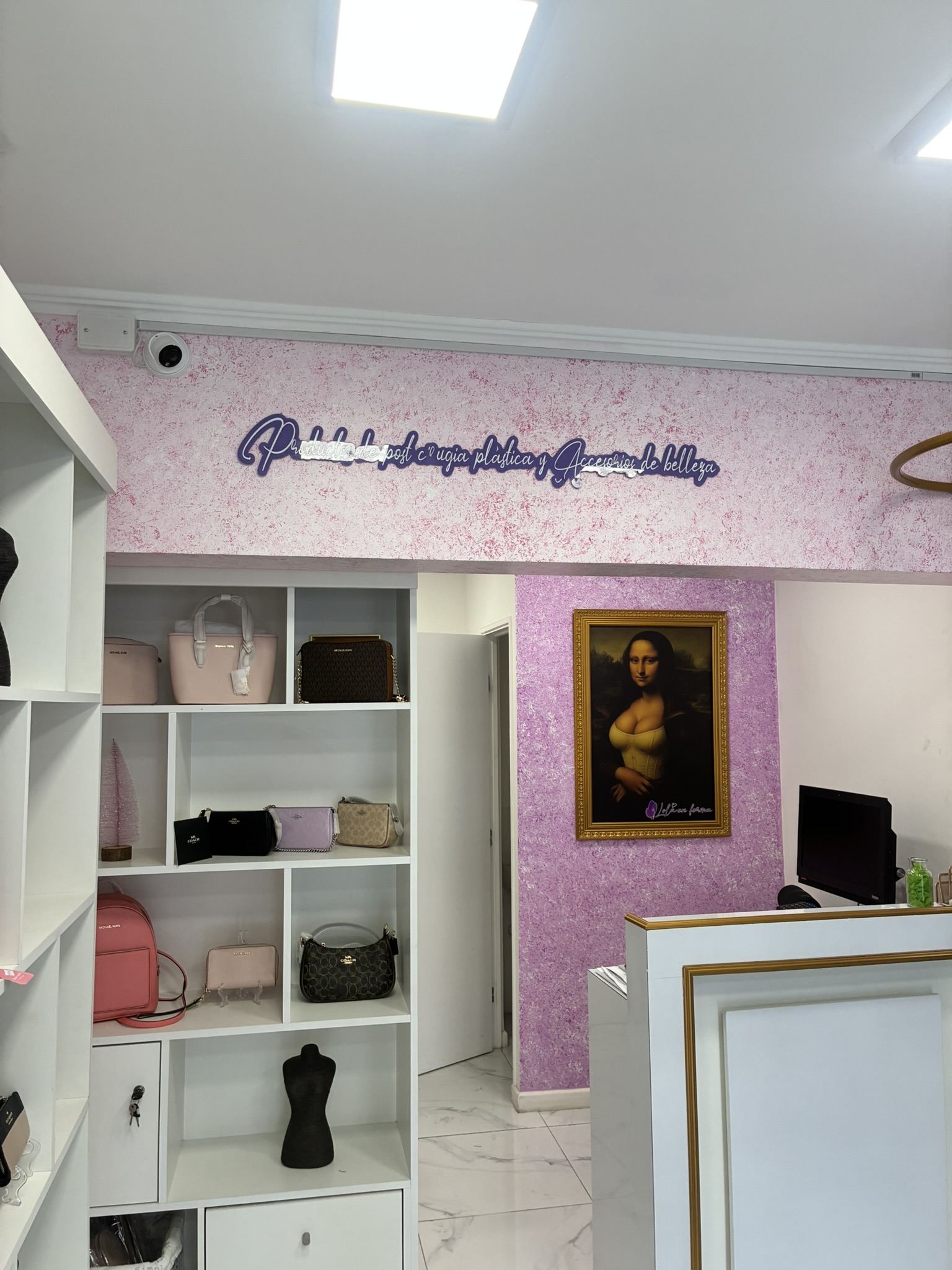 Instalación de cámaras para tienda de accesorios